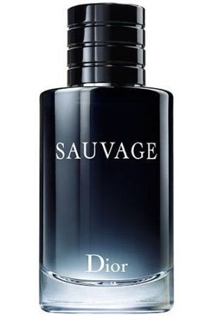 56d1512a_31bf_4d84_a3a8_5b92b5e3f923__sauvage_edt_100ml_500x500_1-8